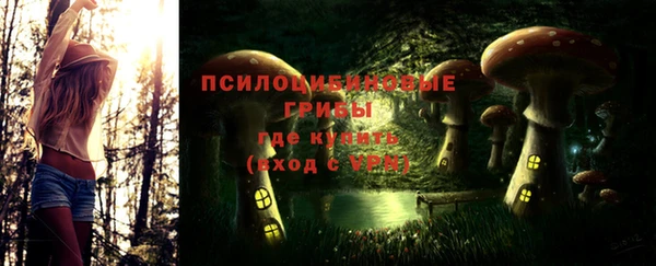 ALPHA-PVP Нягань